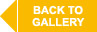 Back to gallery